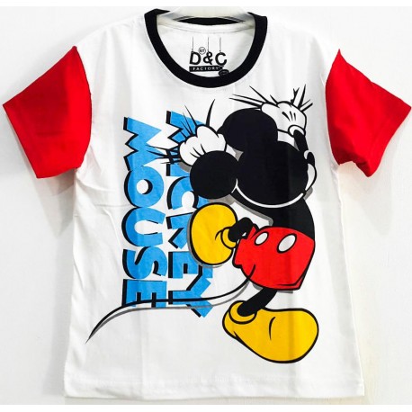 DC Mickey
