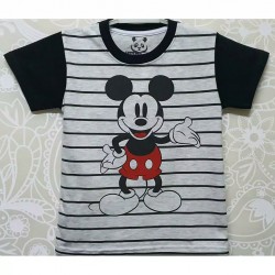Grey Mickey Stripe