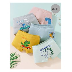 Dinosaurs Boxer (5pc/box)