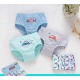 London Cars Cotton Underwear (5pc/box)