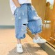 Korean Style Ripped Jeans