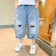 Korean Style Ripped Jeans