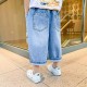 Korean Style Ripped Jeans