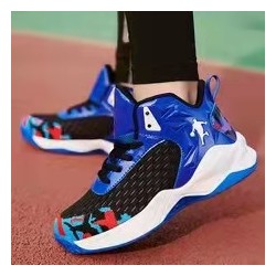 Blue Jordan Shoes