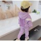 Purple Hoodie Jacket Set Pants