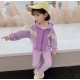 Purple Hoodie Jacket Set Pants