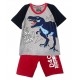 Dino Rohar Grey Set