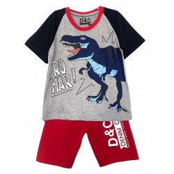 Dino Rohar Grey Set