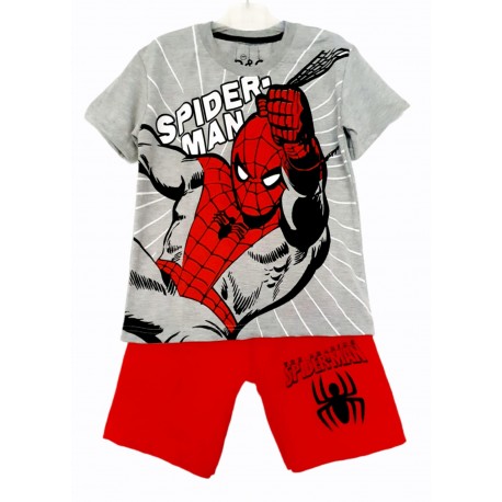 Grey Spiderman Set