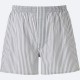 Grey Stripe Short Pants