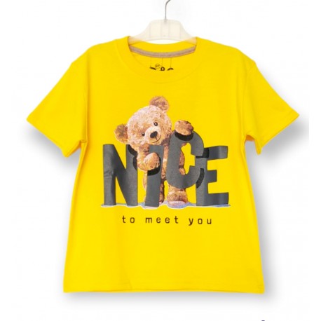 Nice Bear