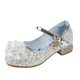 Silver Frozen Princess Glittery Sparkle Shoes