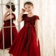 Beautiful Red Ruffle Party Tutu Dress