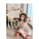 Light Brown Plaid Embroidered Dress