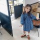 Dark Blue Floral Puffy Sleeve Dress