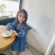 Dark Blue Floral Puffy Sleeve Dress