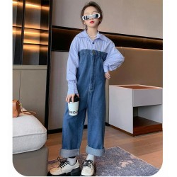 Blue Stripe Korean Denim Jumpsuits