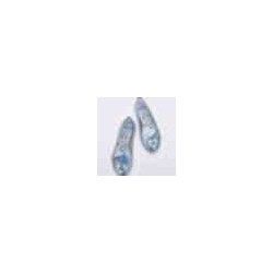 Cinderella Jelly Shoes