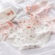 Peach Floral Underwear (5pcs)