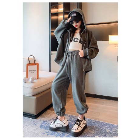 Grey Hoodie Jacket Set Pants(no inner)
