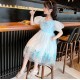 Blue Ruffle Ribbon Tulle Dress