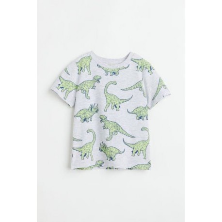 H&M Grey Green Dinosaurs T-shirt