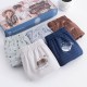 Whale Cotton Underwear
