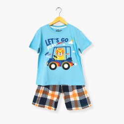 Light Blue Lion Set