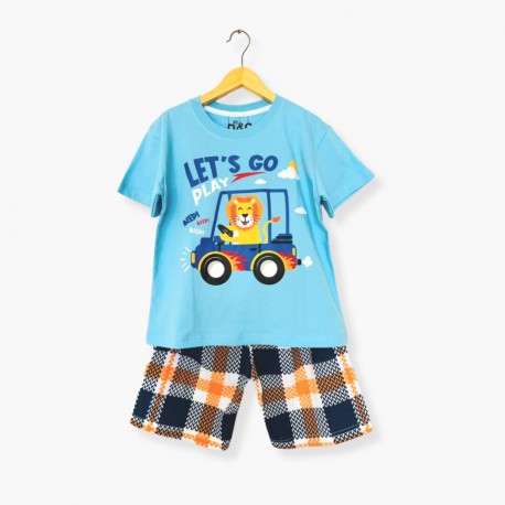 Light Blue Lion Set