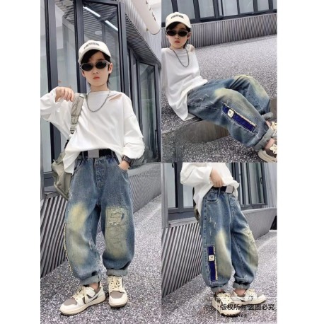 Zig Zag Washed Ripped Denim Pants(no acc)