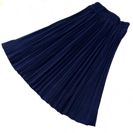 Navy Pleated Skirt