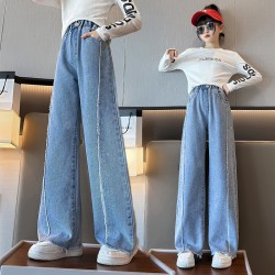 Blue Lined Denim Pants