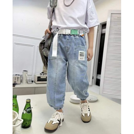 Perfect World Jogger Denim Pants