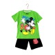 Green Mickey Set