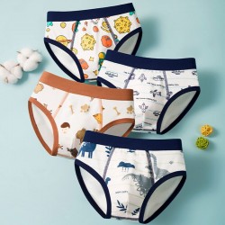 4pcs Space Mix Underwear