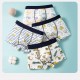 4pcs Whale Mix Boxer