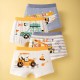 4pcs Vehicles Boxer