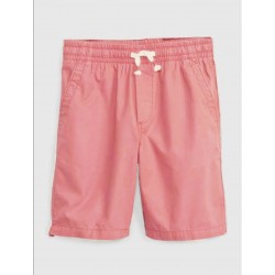 ZR Pink Woven Shorts