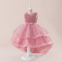 Pink Gold Sequins Sparkle Dress