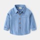 Blue Long Sleeves Basic Shirt