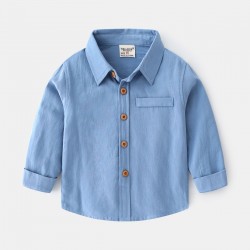 Blue Long Sleeves Basic Shirt