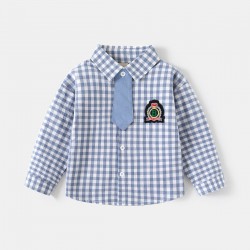 Blue Plaid LS Shirt with Tie