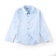 Light Blue Basic Long Sleeve Shirt