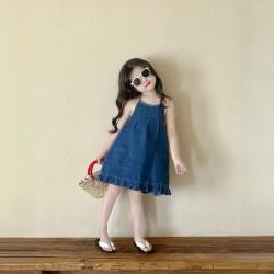 Denim A line Dress