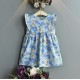 Blue Floral Ruffle Dress