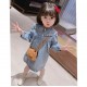 Light Blue Denim Collar Dress