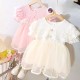 White Baby Lace Tutu Dress