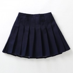 Navy Pleated Skirt