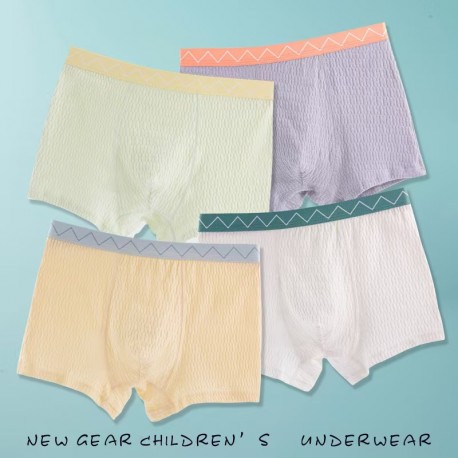 4pcs Basic Boxers Underwear