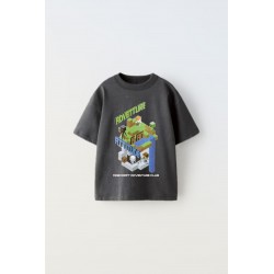 Zr Grey Adventure M1necraft T-shirt